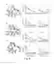 Fig. 05 - Vaccine comprising AMA1 and RON2