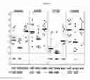 Fig. 13 - Compositions for immunising against 