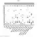 Fig. 16 - Compositions for immunising against 