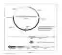 Fig. 04 - Attenuated Mannheimia haemolytica Vaccines and Methods of Making and Use