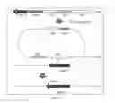 Fig. 05 - Attenuated Mannheimia haemolytica Vaccines and Methods of Making and Use