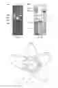 Fig. 06 - Attenuated Mannheimia haemolytica Vaccines and Methods of Making and Use