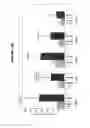 Fig. 11 - Chlamydia antigens