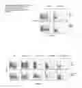 Fig. 06 - Adjuvant combinations comprising alpha-galactosylceramide or iGb3, CD40 agonists and antigen