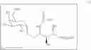 Fig. 08 - Pharmaceutical compositions comprising attenuated sporozoites and glycolipid adjuvants