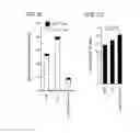 Fig. 10 - APOPTOTIC CELL-MEDIATED INDUCTION OF ANTIGEN SPECIFIC REGULATORY T-CELLS FOR THE THERAPY OF AUTOIMMUNE DISEASES IN ANIMALS AND HUMANS