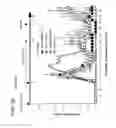 Fig. 11 - APOPTOTIC CELL-MEDIATED INDUCTION OF ANTIGEN SPECIFIC REGULATORY T-CELLS FOR THE THERAPY OF AUTOIMMUNE DISEASES IN ANIMALS AND HUMANS