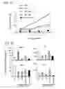 Fig. 14 - APOPTOTIC CELL-MEDIATED INDUCTION OF ANTIGEN SPECIFIC REGULATORY T-CELLS FOR THE THERAPY OF AUTOIMMUNE DISEASES IN ANIMALS AND HUMANS