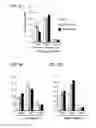 Fig. 19 - APOPTOTIC CELL-MEDIATED INDUCTION OF ANTIGEN SPECIFIC REGULATORY T-CELLS FOR THE THERAPY OF AUTOIMMUNE DISEASES IN ANIMALS AND HUMANS