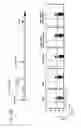 Fig. 25 - APOPTOTIC CELL-MEDIATED INDUCTION OF ANTIGEN SPECIFIC REGULATORY T-CELLS FOR THE THERAPY OF AUTOIMMUNE DISEASES IN ANIMALS AND HUMANS