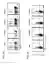 Fig. 30 - APOPTOTIC CELL-MEDIATED INDUCTION OF ANTIGEN SPECIFIC REGULATORY T-CELLS FOR THE THERAPY OF AUTOIMMUNE DISEASES IN ANIMALS AND HUMANS