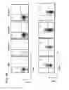 Fig. 31 - APOPTOTIC CELL-MEDIATED INDUCTION OF ANTIGEN SPECIFIC REGULATORY T-CELLS FOR THE THERAPY OF AUTOIMMUNE DISEASES IN ANIMALS AND HUMANS