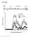 Fig. 42 - APOPTOTIC CELL-MEDIATED INDUCTION OF ANTIGEN SPECIFIC REGULATORY T-CELLS FOR THE THERAPY OF AUTOIMMUNE DISEASES IN ANIMALS AND HUMANS