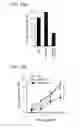 Fig. 43 - APOPTOTIC CELL-MEDIATED INDUCTION OF ANTIGEN SPECIFIC REGULATORY T-CELLS FOR THE THERAPY OF AUTOIMMUNE DISEASES IN ANIMALS AND HUMANS