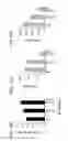 Fig. 44 - APOPTOTIC CELL-MEDIATED INDUCTION OF ANTIGEN SPECIFIC REGULATORY T-CELLS FOR THE THERAPY OF AUTOIMMUNE DISEASES IN ANIMALS AND HUMANS