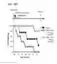 Fig. 63 - APOPTOTIC CELL-MEDIATED INDUCTION OF ANTIGEN SPECIFIC REGULATORY T-CELLS FOR THE THERAPY OF AUTOIMMUNE DISEASES IN ANIMALS AND HUMANS