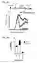 Fig. 78 - APOPTOTIC CELL-MEDIATED INDUCTION OF ANTIGEN SPECIFIC REGULATORY T-CELLS FOR THE THERAPY OF AUTOIMMUNE DISEASES IN ANIMALS AND HUMANS