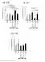 Fig. 85 - APOPTOTIC CELL-MEDIATED INDUCTION OF ANTIGEN SPECIFIC REGULATORY T-CELLS FOR THE THERAPY OF AUTOIMMUNE DISEASES IN ANIMALS AND HUMANS