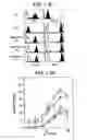 Fig. 02 - Immunopotentiative composition