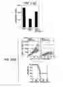 Fig. 04 - Immunopotentiative composition