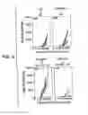 Fig. 05 - Immunopotentiative composition