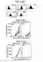 Fig. 06 - Immunopotentiative composition