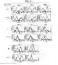 Fig. 10 - Immunopotentiative composition