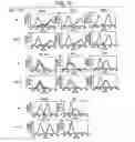Fig. 11 - Immunopotentiative composition