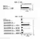 Fig. 12 - Immunopotentiative composition
