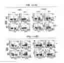 Fig. 14 - Immunopotentiative composition