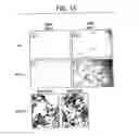 Fig. 16 - Immunopotentiative composition