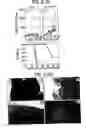 Fig. 03 - Immunopotentiative composition