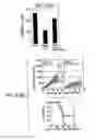 Fig. 04 - Immunopotentiative composition