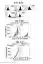 Fig. 06 - Immunopotentiative composition