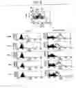 Fig. 09 - Immunopotentiative composition