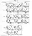 Fig. 10 - Immunopotentiative composition