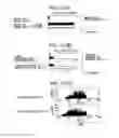 Fig. 13 - Immunopotentiative composition