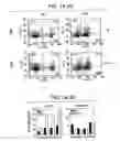 Fig. 15 - Immunopotentiative composition