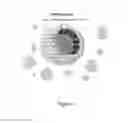 Fig. 04 - Menthol-based nanoparticles for drug delivery