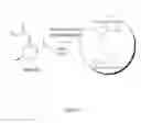 Fig. 05 - Menthol-based nanoparticles for drug delivery