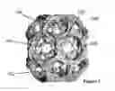 Fig. 04 - CLATHRIN THERAPEUTIC FOR AUTOIMMUNE DISEASES