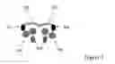 Fig. 06 - CLATHRIN THERAPEUTIC FOR AUTOIMMUNE DISEASES