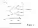Fig. 07 - CLATHRIN THERAPEUTIC FOR AUTOIMMUNE DISEASES