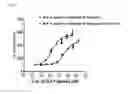 Fig. 03 - Conjugate of biologically active polypeptide monomer and immunoglobulin Fc fragment with reduced receptor-mediated clearance, and the method for preparing the same
