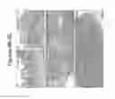 Fig. 20 - MODEL OF COLORECTAL CANCER
