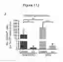 Fig. 28 - MODEL OF COLORECTAL CANCER