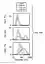Fig. 21 - Coated magnetic nanoparticles