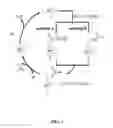Fig. 02 - Targeted, metal-catalyzed fluorination of complex compounds with fluoride ion via decarboxylation