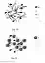 Fig. 02 - Self-assembling biomimetic hydrogels having bioadhesive properties