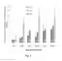 Fig. 03 - Self-assembling biomimetic hydrogels having bioadhesive properties